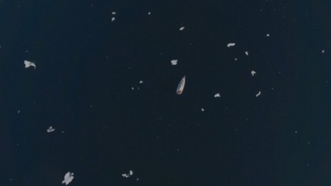 Home is the Ocean - Freiburg - 03.10.2025 13:45