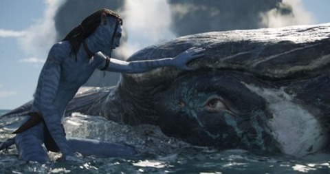 Avatar: The Way of Water 3D HFR - Haslach - 03.10.2025 19:30