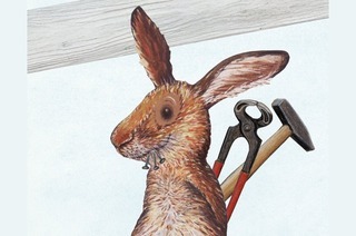 Gwunderhaas repariert