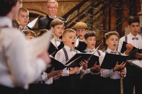 Poznaner Knabenchor: Adventskonzert - Chormusik von Mauersberger, Kverno, Sykulski - Dresden - 29.11.2026 16:00