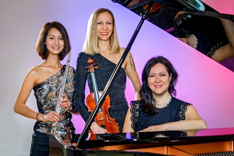 Trio Viva Classico - Viva la musica - VIVA Classico - Viva la musica - VIVA Classico - Pei�enberg - 03.07.2026 20:00