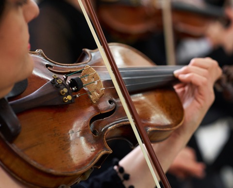 Vivaldi - Die Vier Jahreszeiten - Speyer - 17.04.2026 20:00