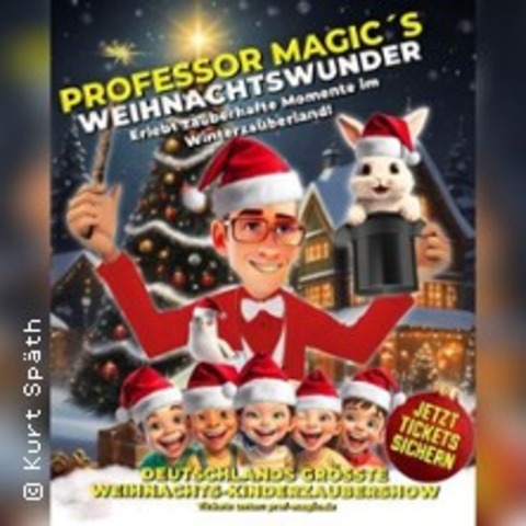 Prof. Magic's Weihnachtswunder - Schweinfurt - 06.12.2026 15:00