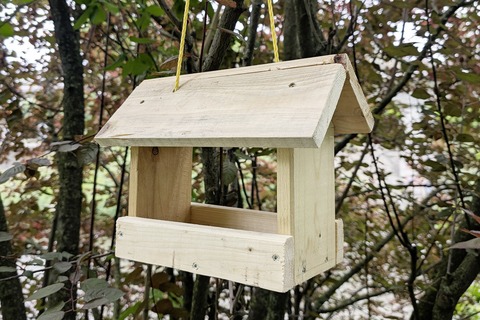 Wald X Wrth Futterhaus bauen - Arlesheim - 16.10.2025 16:30