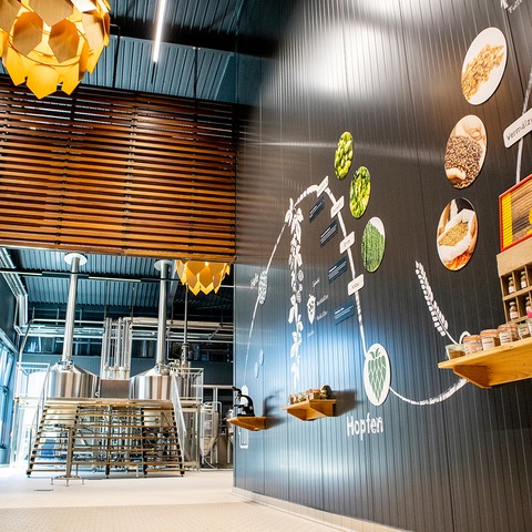 Klassisches BrauErlebnis - Seligenstadt - 10.10.2026 14:00