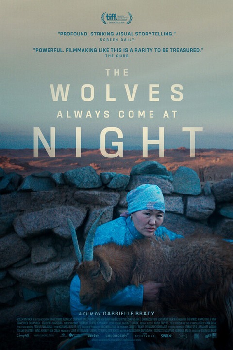 The Wolves Always Come At Night (OmEU) - Freiburg - 08.11.2025 20:30