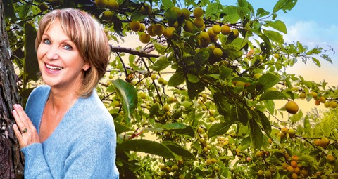 Sabine Kaack & United Baroque „Der Geist der Mirabelle - Geschichten ut Bollerup“ - Hamburg - 16.03.2026 19:30