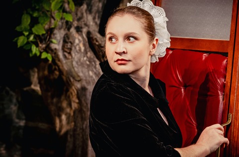 Der Diener zweier Herren - Carlo Goldoni - Feuchtwangen - 18.06.2026 20:30