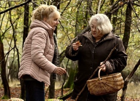 Wenn der Herbst naht - Lahr - 12.10.2025 18:00