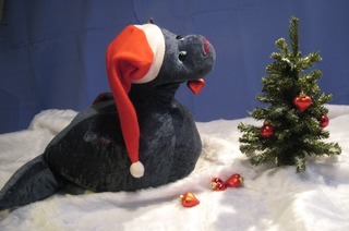 Zauberhafte Weihnachten mit dem Drachen Otto