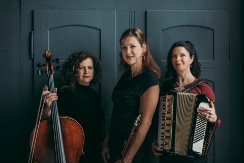 Salonkonzert im Weien Haus: Rada Synergica - Markkleeberg - 12.11.2025 19:00