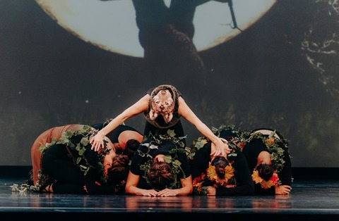 Dance 2026 - Auffhrung der Ballettschule Remchingen - Remchingen - 20.06.2026 19:00