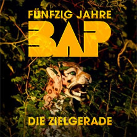 BAP - F�nfzig Jahre - Die Zielgerade - Tour 2026 - WIEN - 04.12.2026 19:30