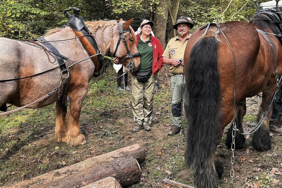 Am Waldhaus Freiburg findet der Waldherbst statt - Badische Zeitung TICKET