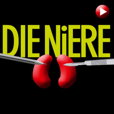 DRAM - Die Niere - von Stefan Vgel - Eine Komdie zum Nachdenken! - Biberach an der Ri - 16.11.2025 18:00