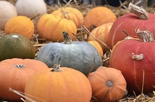 Am Samstag, 11. Oktober, 10 bis 18 Uhr, und Sonntag, 12. Oktober, von 13 bis 18 Uhr, findet in der Lrracher Innenstadt das Herbstfest mit Krbismarkt und verkaufsoffenem Sonntag statt.