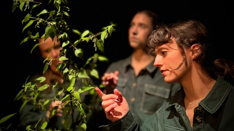 SPOTTED: Der Kongress der Pflanzen - Ein fiktives choreobotanisches Szenario - Wolfenb�ttel - 15.01.2026 19:30