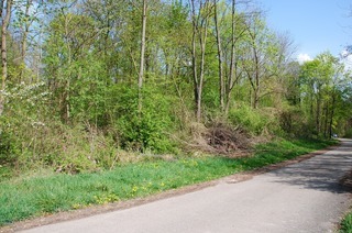 Schachenwald (Wasenweiler)