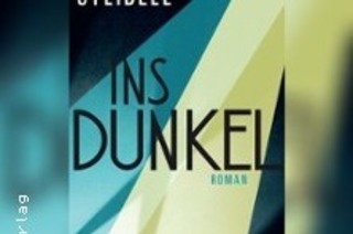 Angela Steidele - Ins Dunkel