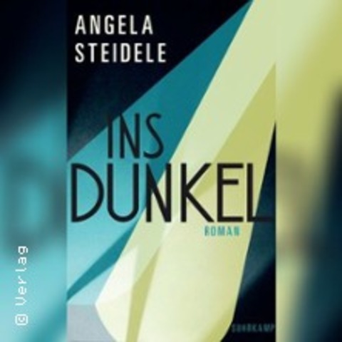 Angela Steidele - Ins Dunkel - WIESBADEN - 09.12.2025 19:30