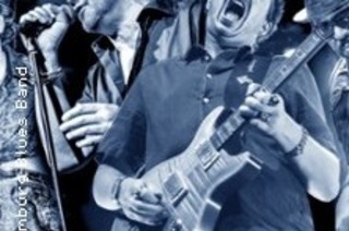 The Hamburg Blues Band