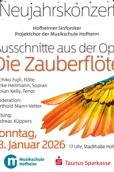 Neujahrskonzert - Neujahrskonzert - Hofheim am Taunus - 18.01.2026 17:00