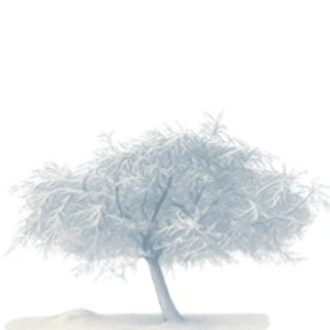 OK Concerts Weihnachtssingen - Kassel - 20.12.2025 20:00