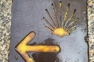Die Reise meines Lebens