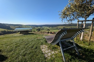 Herbstwanderung auf dem Ibacher Panoramaweg: Weiden, Wald und Weitblick