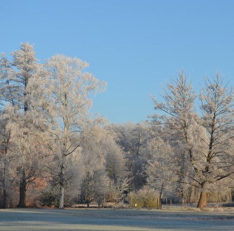 Wanderung zum Jahresbeginn - Bad Bevensen - 04.01.2026 11:00
