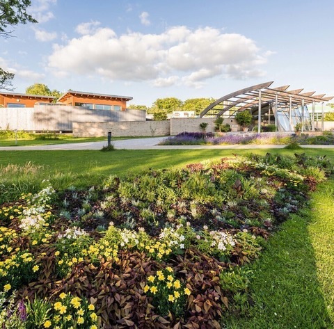 Kurparkf�hrung „Was bl�ht denn da?“ - Bad Bevensen - 19.06.2026 15:00