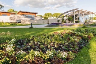 Kurparkf�hrung „Was bl�ht denn da?“