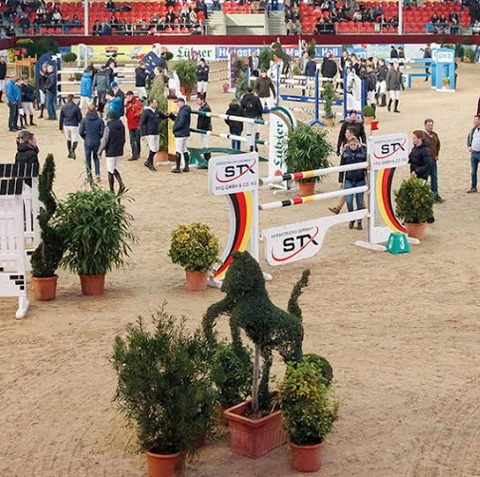 24. CSI/Neustadt-Dosse - Schaufenster der Besten (K�rung) - Neustadt (Dosse) - 11.01.2026 08:00