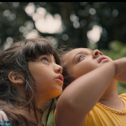 Die Natur der unsichtbaren Dinge - Heidelberg - 12.11.2025 10:00 Die Natur der unsichtbaren Dinge - Heidelberg - 12.11.2025 10:00