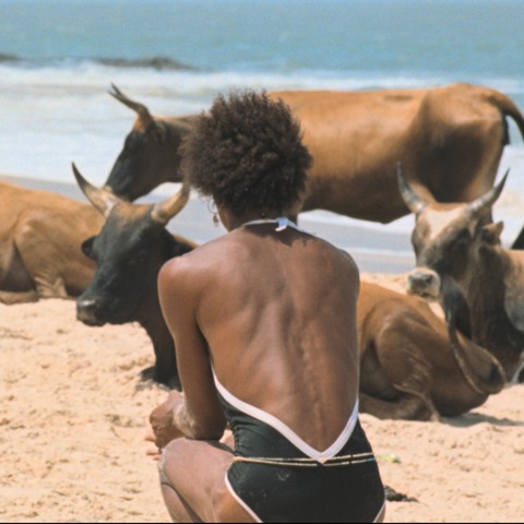 I Only Rest in the Storm - Heidelberg - 16.11.2025 19:00