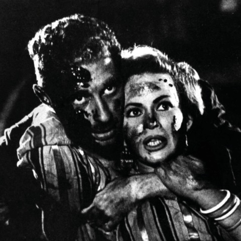 Cairo Station - Heidelberg - 10.11.2025 18:15 Cairo Station - Heidelberg - 10.11.2025 18:15