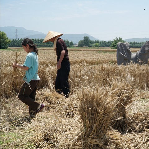 Nighttime Sounds - Heidelberg - 12.11.2025 17:45 Nighttime Sounds - Heidelberg - 12.11.2025 17:45