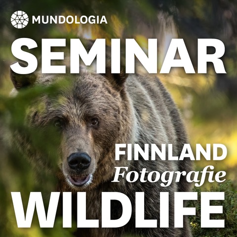 MUNDOLOGIA-Seminar: Wildlife Fotografie in Finnland - Freiburg - 30.01.2026 20:15