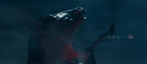 Nope - Basel - 02.11.2025 18:00