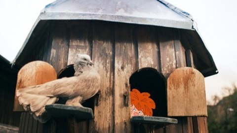 Pumuckl und das große Missverständnis - Lörrach - 30.10.2025 14:30 Pumuckl und das große Missverständnis - Lörrach - 30.10.2025 14:30