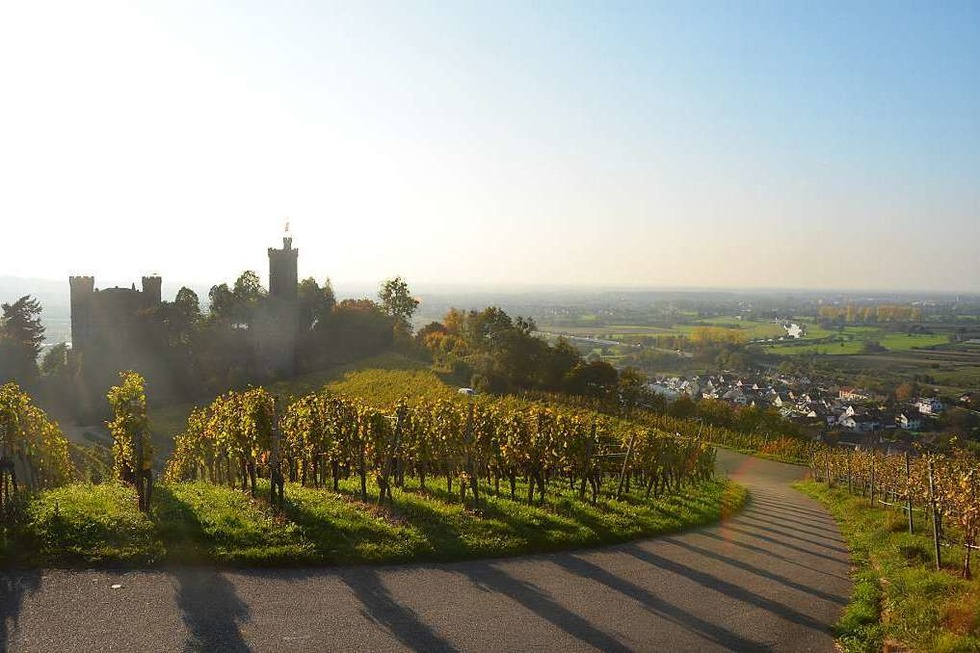 Schloss Ortenberg - Ortenberg
