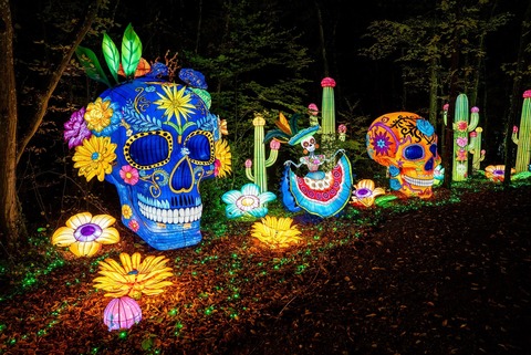Lichterfestival Luminescences - Amnville (F) - 24.10.2025 18:30