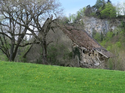 Feldscheunen - Liestal - 10.03.2026 17:30
