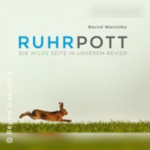 Wilder Ruhrpott - BOCHUM - 29.11.2026 19:00