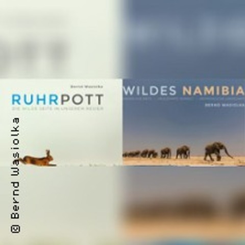 Wildes Namibia & Wilder Ruhrpott - BOCHUM - 29.11.2026 16:00