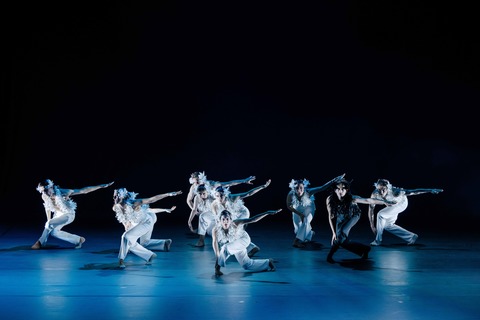 Schwanensee - Neues Tanzst�ck von Guido Markowitz und Mar Rodr�guez Valverde - Pforzheim - 14.01.2026 20:00