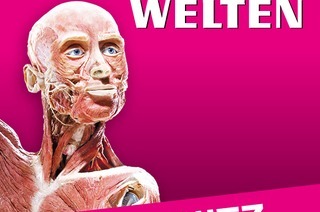 K�RPERWELTEN | Chemnitz | Zeitfensterticket
