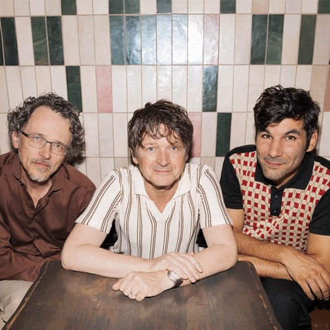 Bene Aperdannier Trio - Kassel - 20.01.2026 20:00