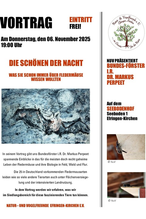 Die Schönen der Nacht - Vortrag über Fledermäuse - Efringen-Kirchen - 06.11.2025 19:00 Die Schönen der Nacht - Vortrag über Fledermäuse - Efringen-Kirchen - 06.11.2025 19:00