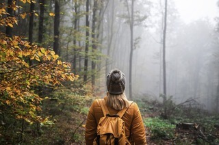 Auf schlpfrigen Pfaden &ndash; was man bei Wanderungen im Herbst beachten sollte
